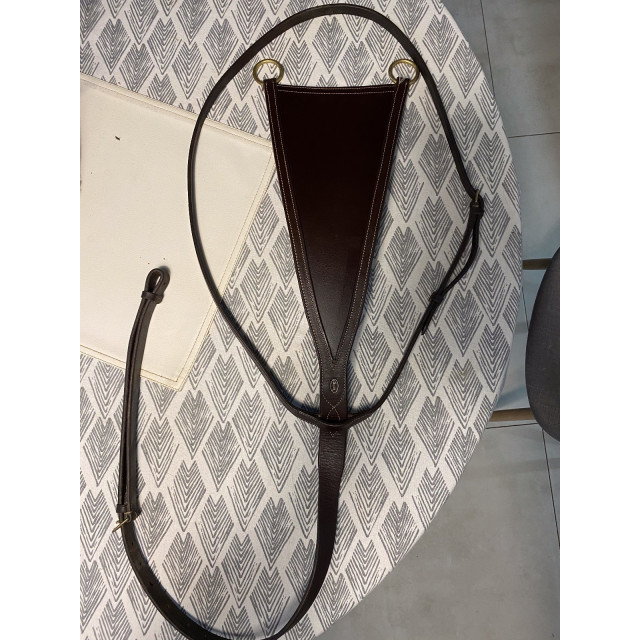 martingale pleine chetak