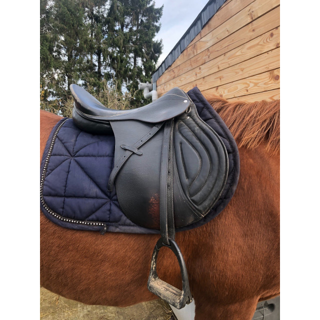 Selle mixte Waldhausen