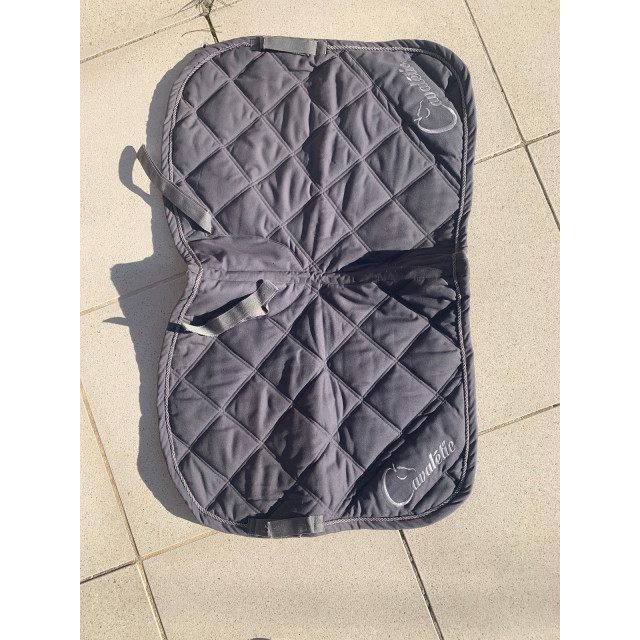 Tapis cavaletic