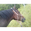 Licol éthologique taille cheval
