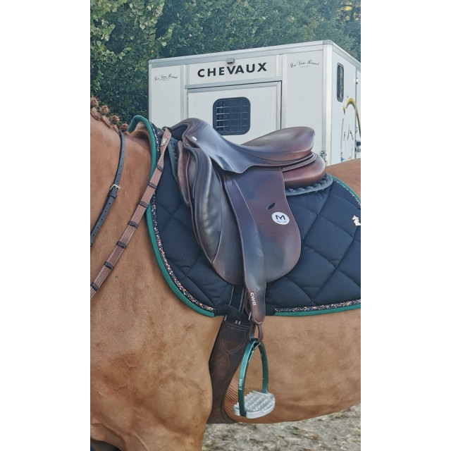 Selle Meyer 2019