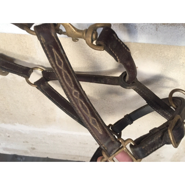 Licol cuir poney marron