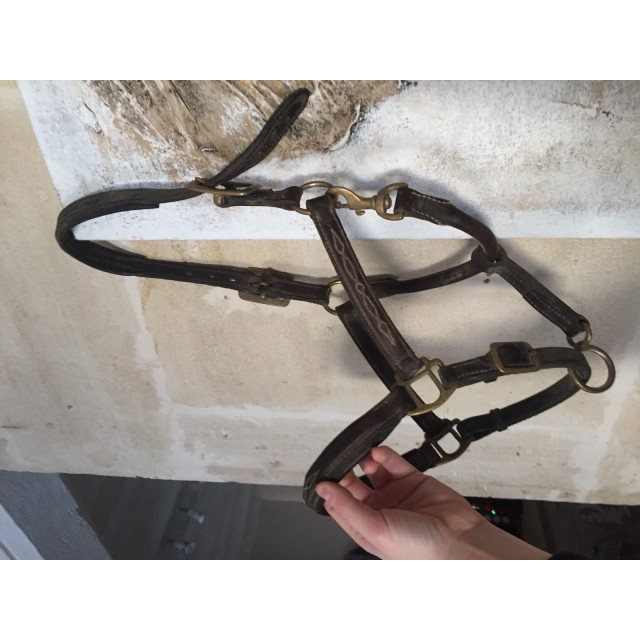 Licol cuir poney marron