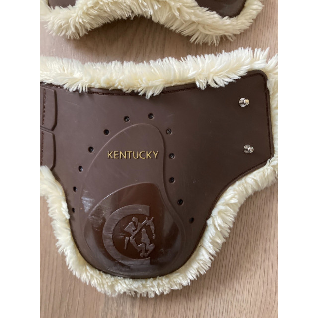Ensemble kentucky