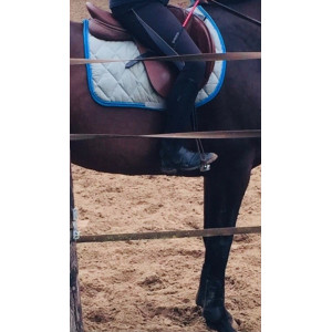 Tapis gris et bleu roi