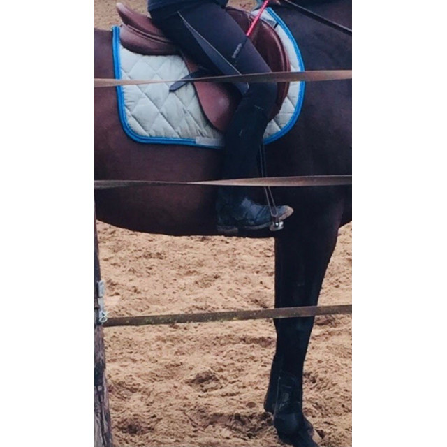 Tapis gris et bleu roi