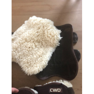 Protections CWD