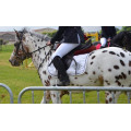 Tapis de concours blanc