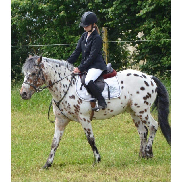 Tapis de concours blanc