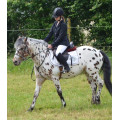 Tapis de concours blanc