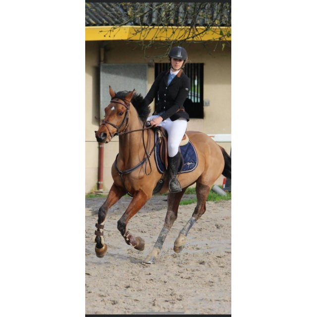 Veste Nice Komutekir