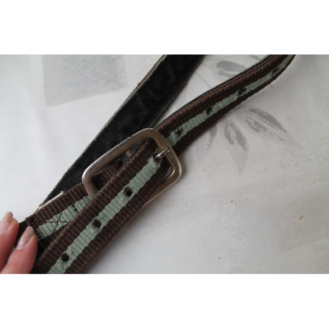 Licol Marron/pistache