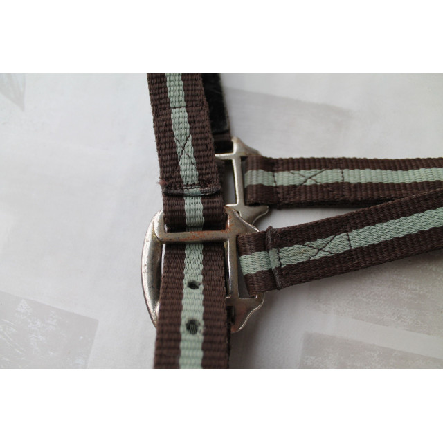 Licol Marron/pistache