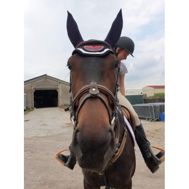 bonnet hervé godignon