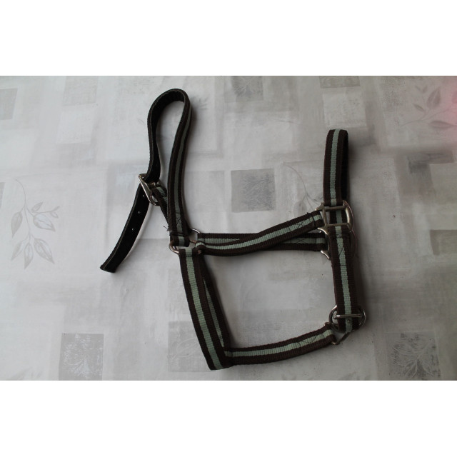 Licol Marron/pistache