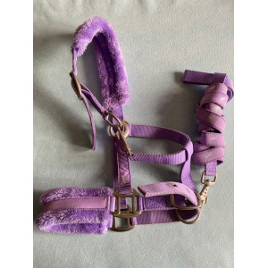 licol EQUITHEME neuf sans défaut avec sa longe