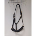 Licol en cuir NEUF