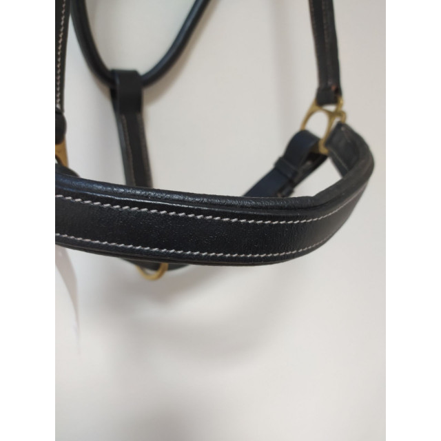 Licol en cuir NEUF