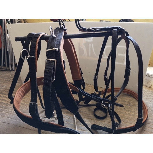 HARNAIS SYNTHETIQUE NYLON 2 EN 1, PAIRE WELSH