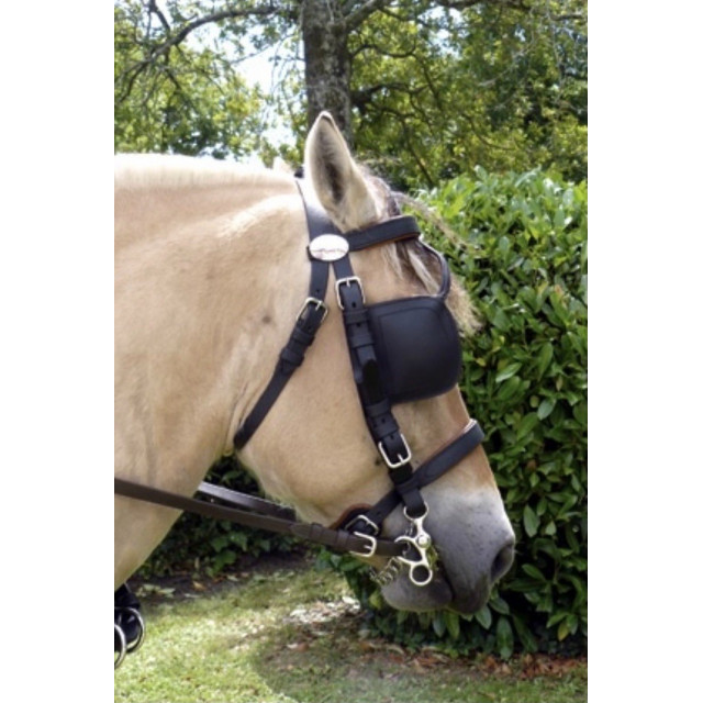 HARNAIS SYNTHETIQUE NYLON 2 EN 1, PAIRE WELSH