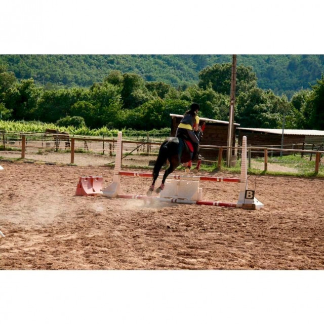 Guêtres et protèges boulets toutes Fouganza