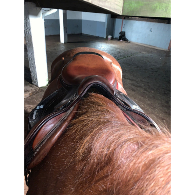 Selle cwd