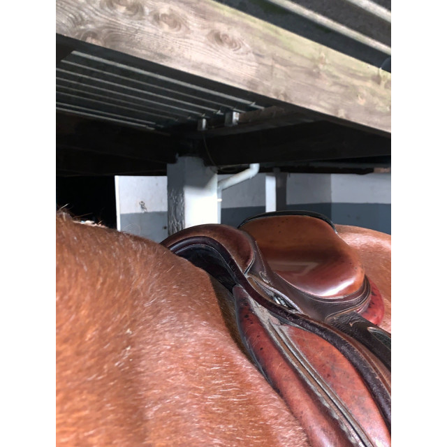 Selle cwd