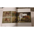 Livre chevaux de Camargue