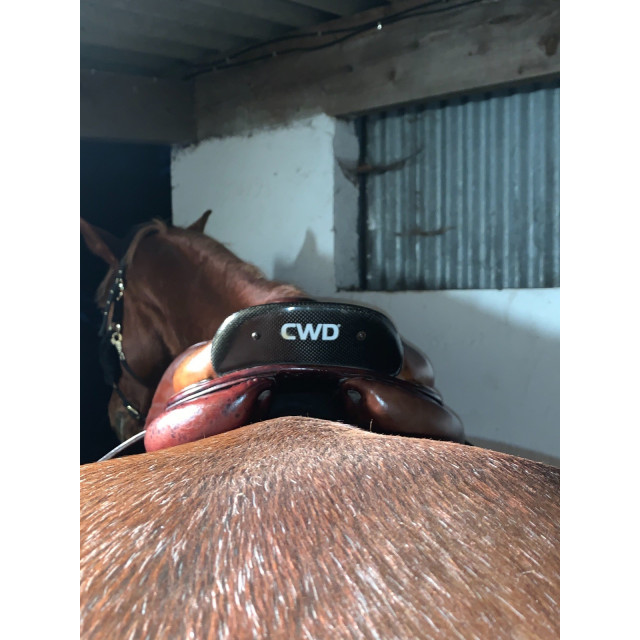Selle cwd