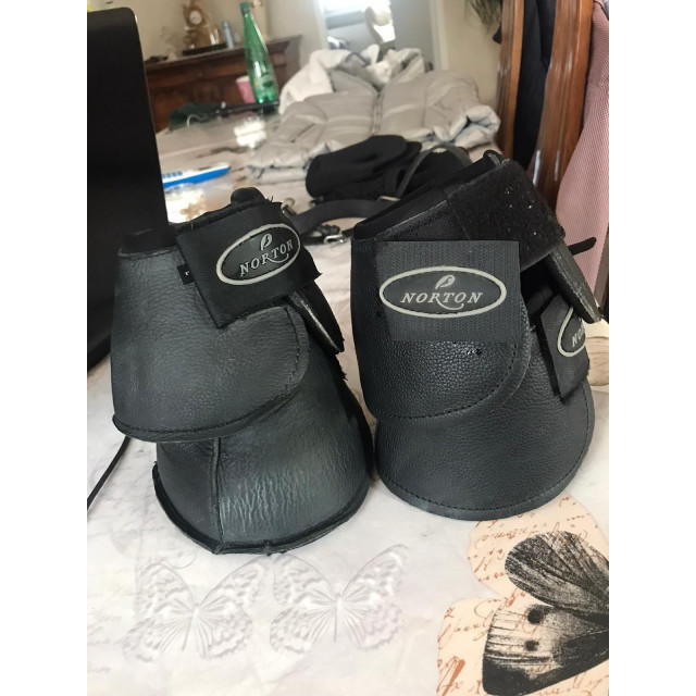 cloche noir norton
