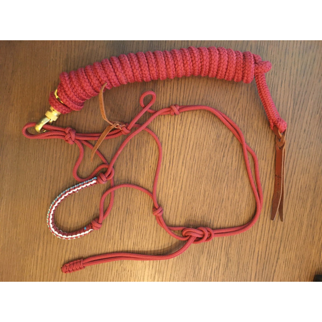 Licol et longe éthologique