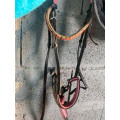 Bridon / Filet cheval noir et rose