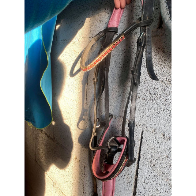 Bridon / Filet cheval noir et rose