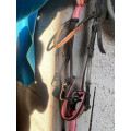 Bridon / Filet cheval noir et rose