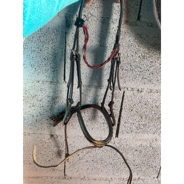 Bridon / Filet noir cheval