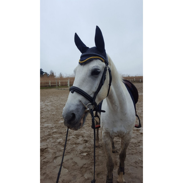Ensemble tapis bonnet