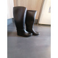 Botte