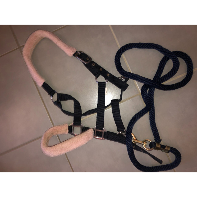 licol et longe rose et bleu