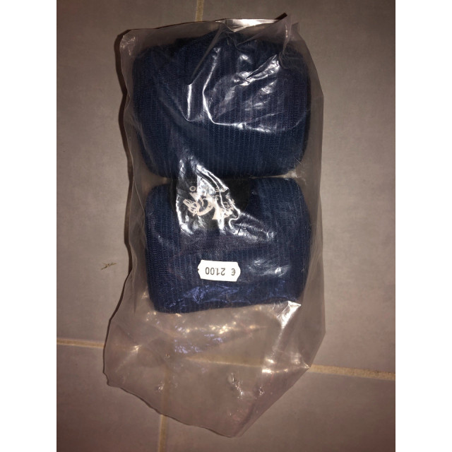 bande de travail pegaso