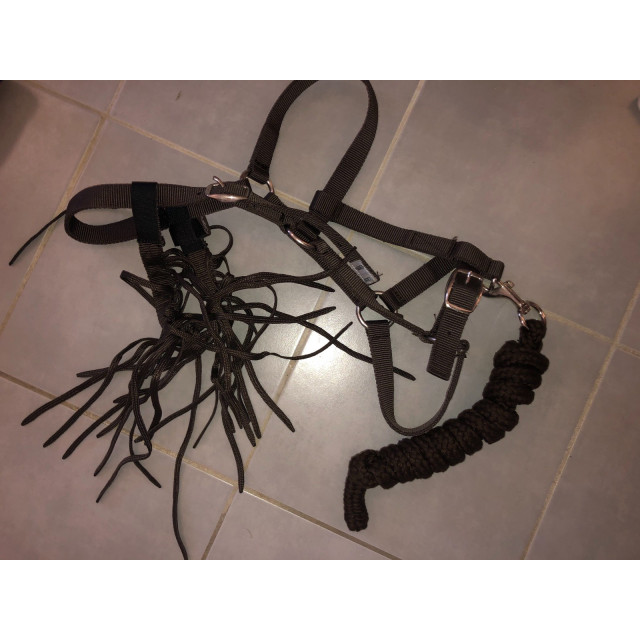 licol long et protège mouche