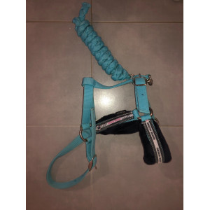 licol longe turquoise