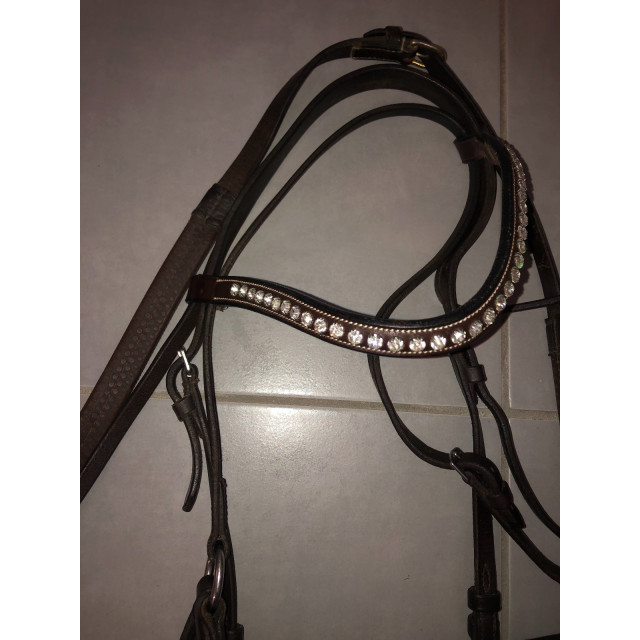 filet avec mors et 2 paires de rênes
