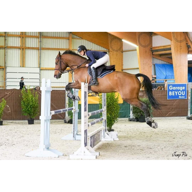 Veste de concours Equiline bleu marine 36