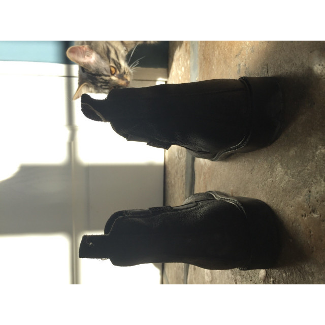 Boots d’équitation