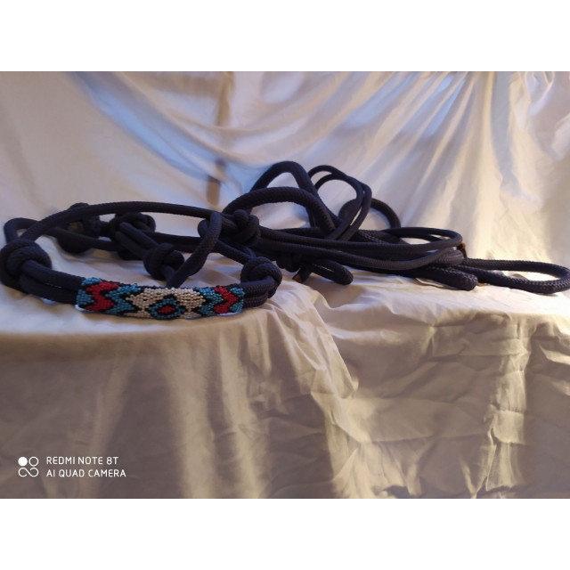 Licol ethologie avec sa longe