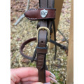 Filet equipe poney C
