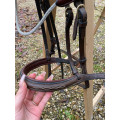 Filet equipe poney C
