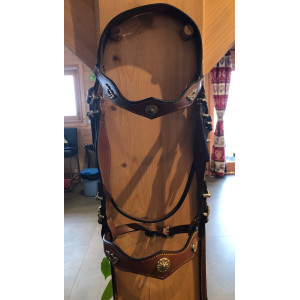 Bridon portugais coloris noisette