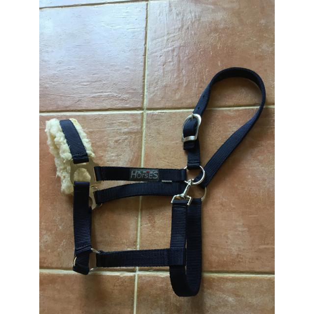 Licol bleu marine avec de la moumoute sur la muserolle