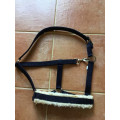 Licol bleu marine avec de la moumoute sur la muserolle